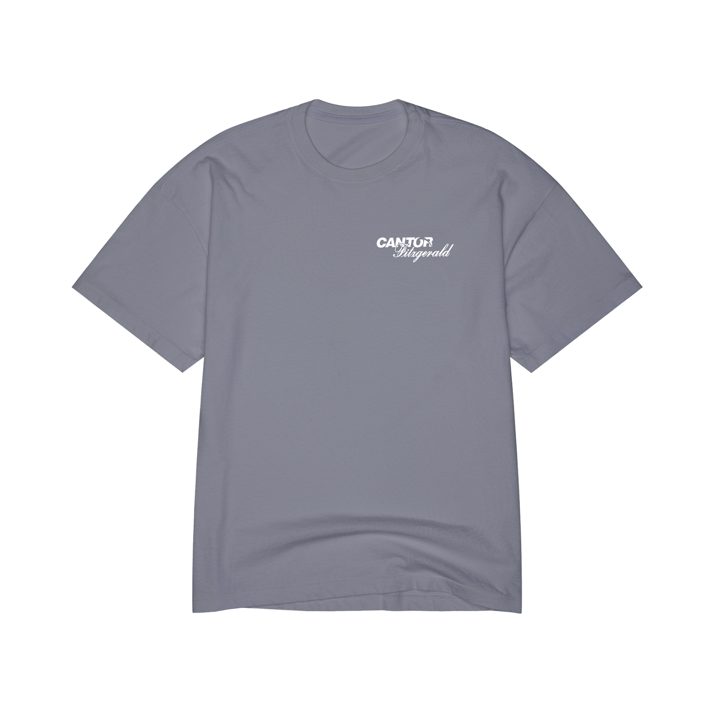 Blanks Perfect T-Shirt CF 2